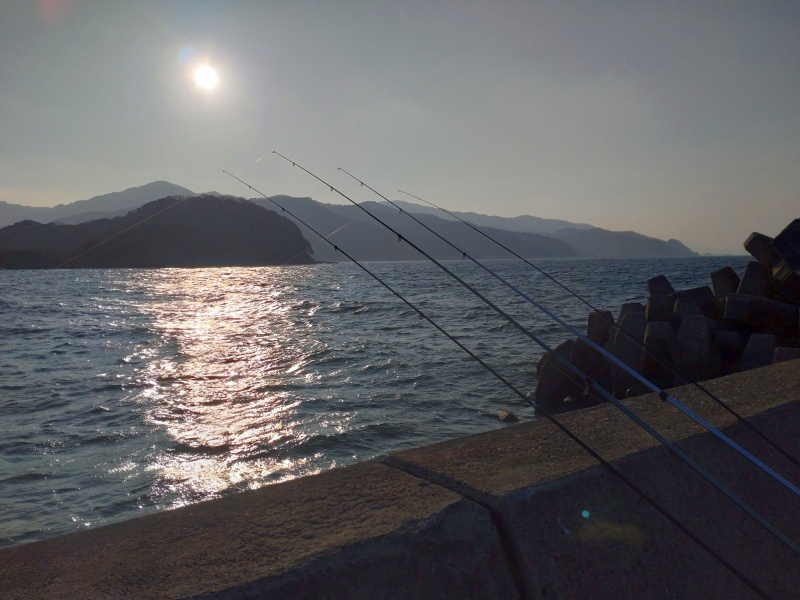 1月8日：日出湾2