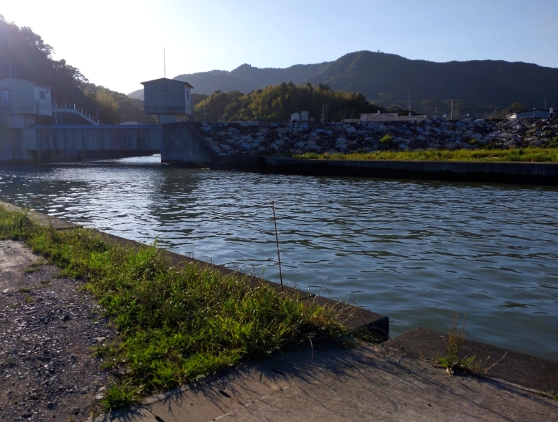 6月3日：牟岐西港