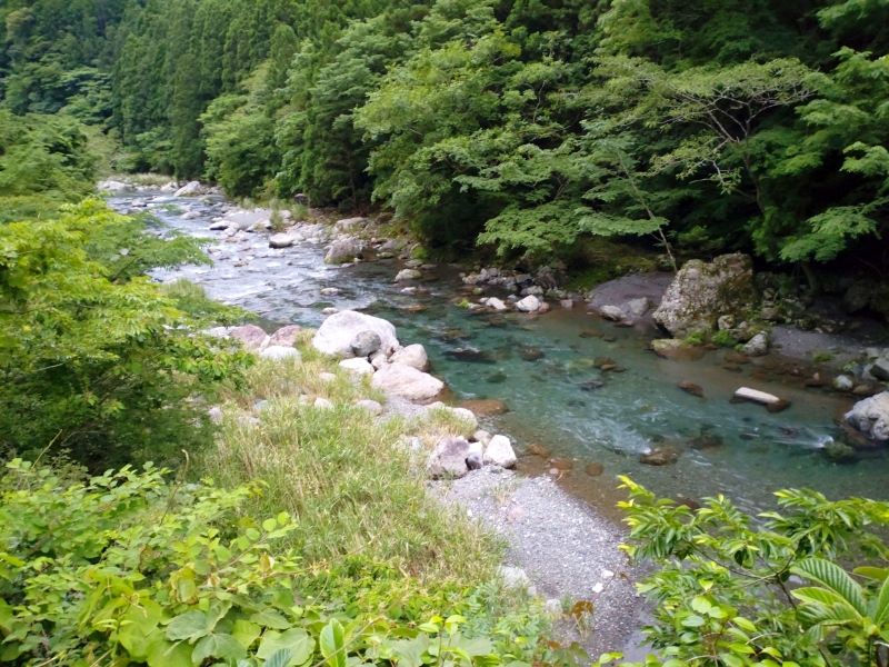 6月11日：角屋橋下流