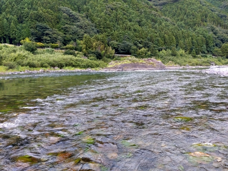 7月20日：丹生谷橋下流