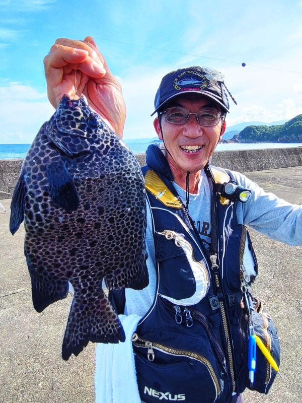7月29日：イシガキダイ