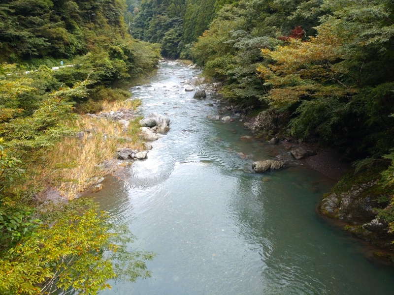 8月30日：角谷橋下流