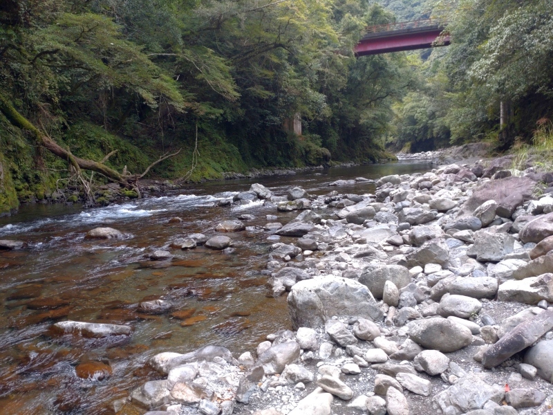 9月30日：轟口