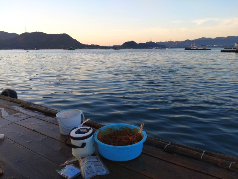 11月12日：内の海