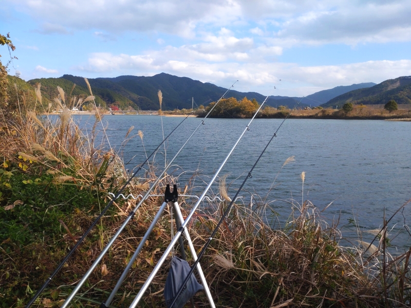 11月24日：番匠川