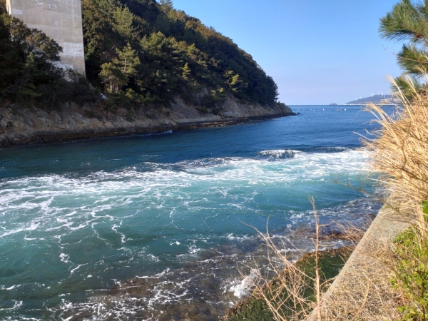 3月3日：堀越橋南岸1