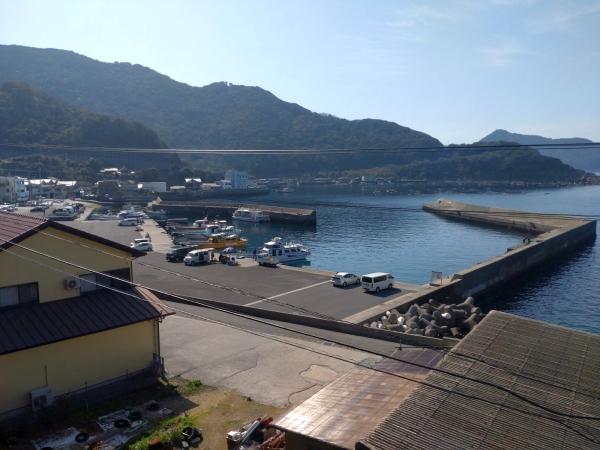 3月16日：中泊港