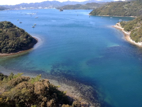 4月10日： 堀越橋下