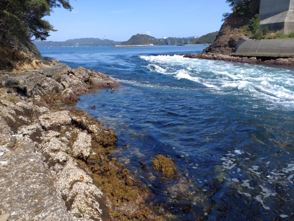 4月10日：堀越橋北岸