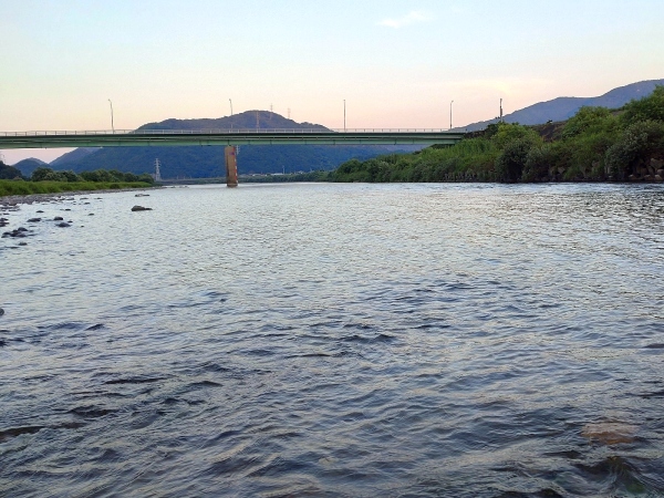 8月3日：加茂谷橋上流