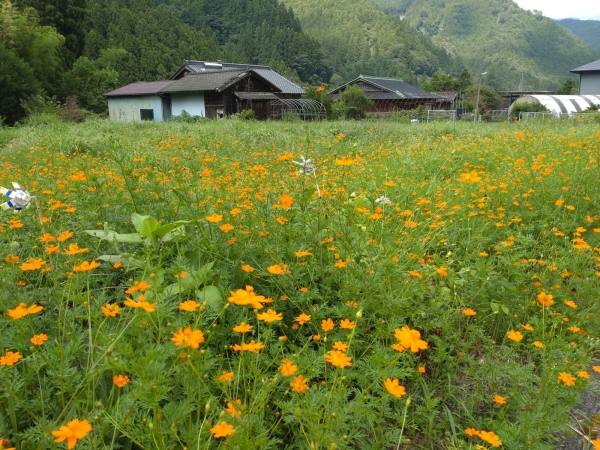 8月18日：北川郵便局前