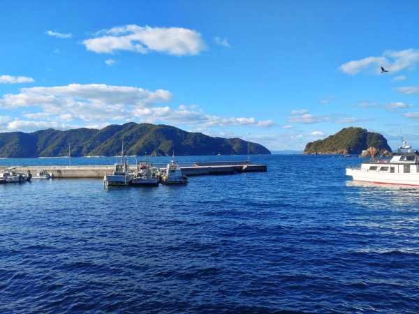11月24日：矢ヶ浜