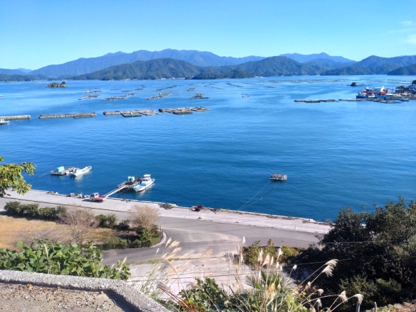 11月25日：水荷浦