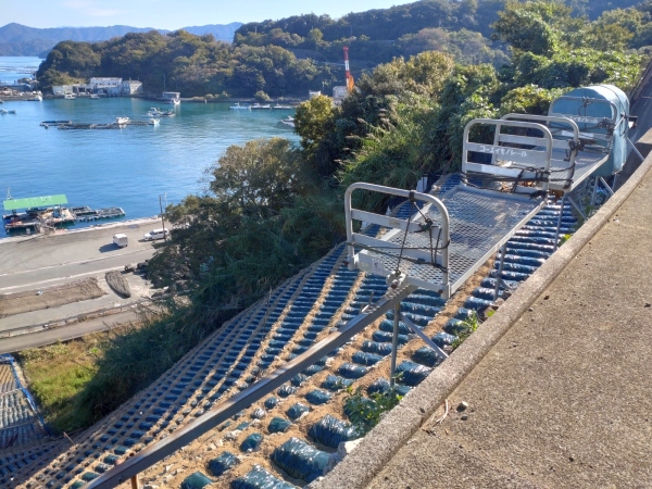 11月25日：水荷浦３