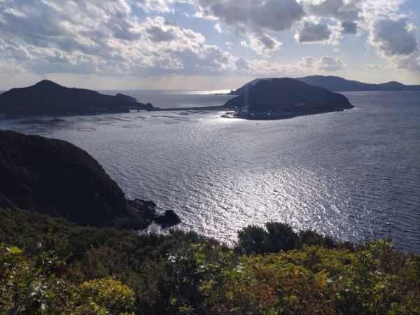 11月27日：大月町柏島