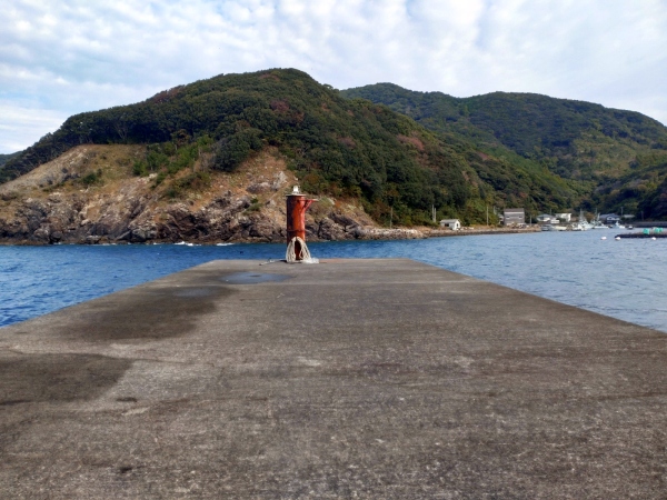 11月27日：泊浦