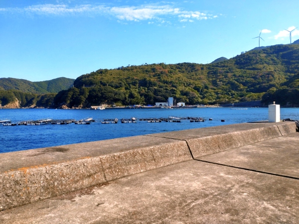 11月27日：橘浦