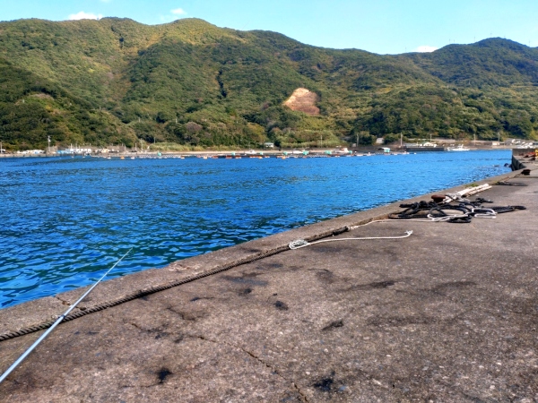 11月27日：安満地
