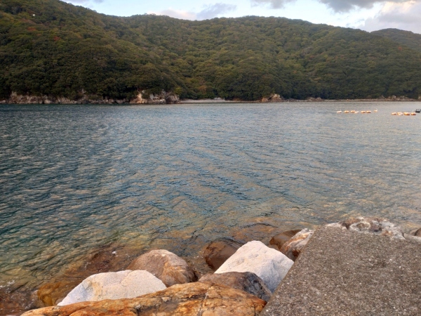 11月27日：古満目