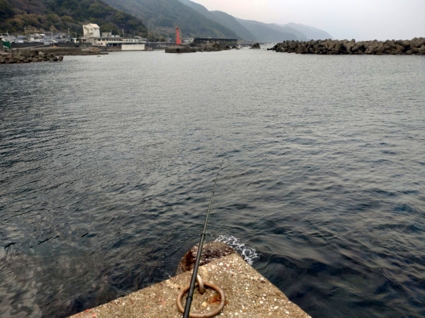 3月2日：椎名漁港