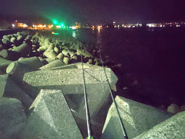 4月29日：岡崎海岸