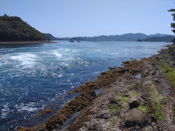 5月11日： 堀越橋
