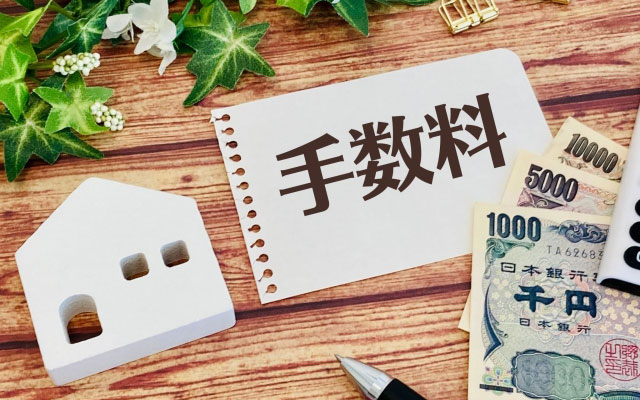 dummy