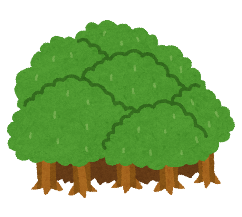 outline_image